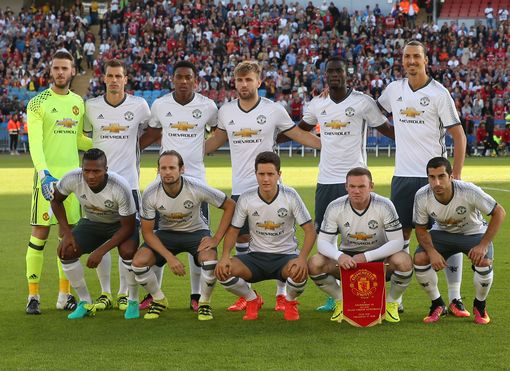 培养上的显 培养上的显